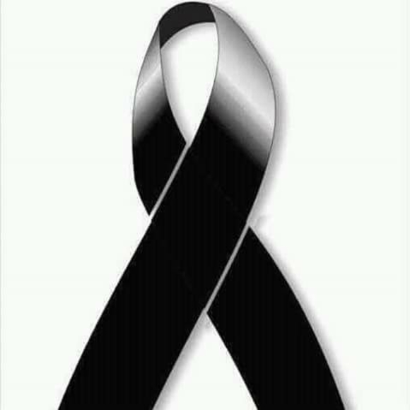 Meet your Posher, Juana - Picture 1 of 1